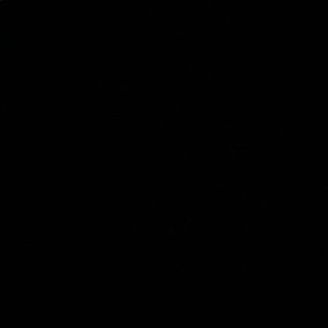 Meet your Posher, Shawna